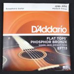 D'Addario EFT13 Medium Phospher Bronze Resonator Strings 16-56